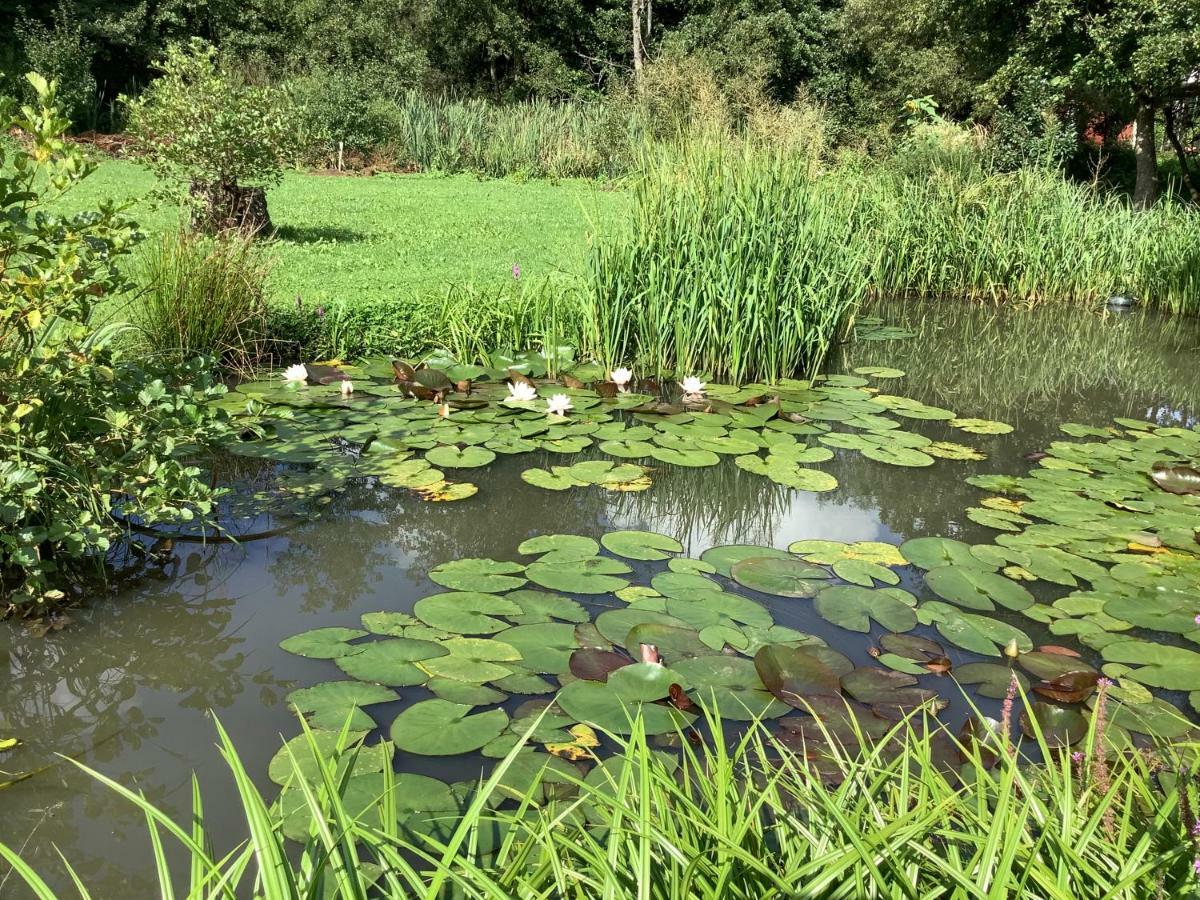 Ferienhaus Maar Beckingen Bagian luar foto
